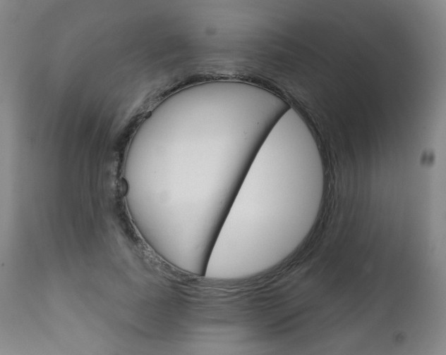 X0000111050739200906251119