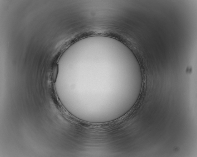 X0000111050740200906251119