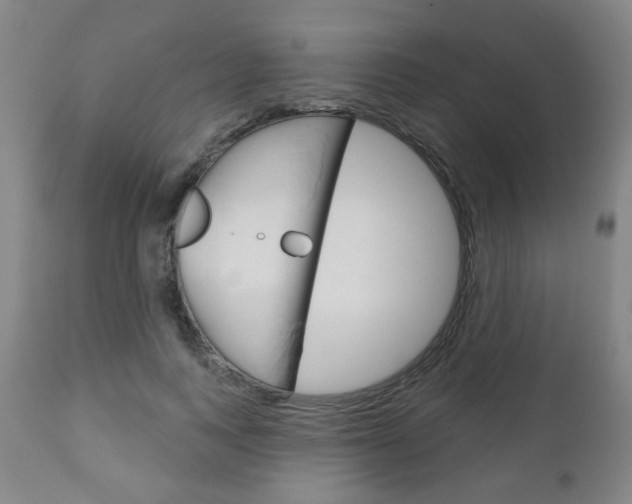 X0000111050743200906251119