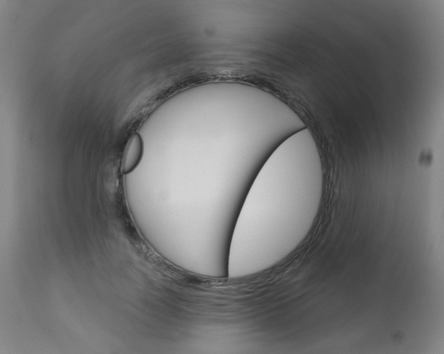 X0000111050746200906251119