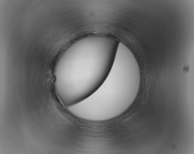 X0000111050748200906251119