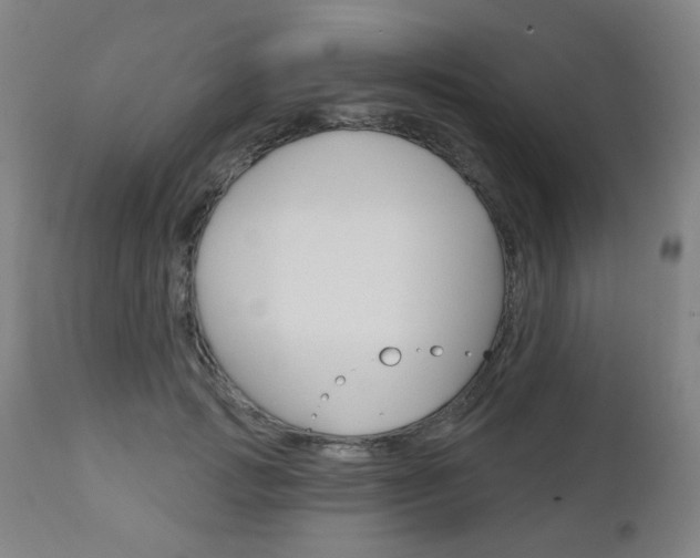 X0000111050749200906251119