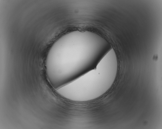 X0000111050750200906251119