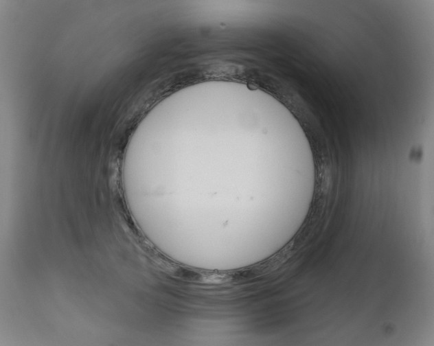X0000111050753200906251119
