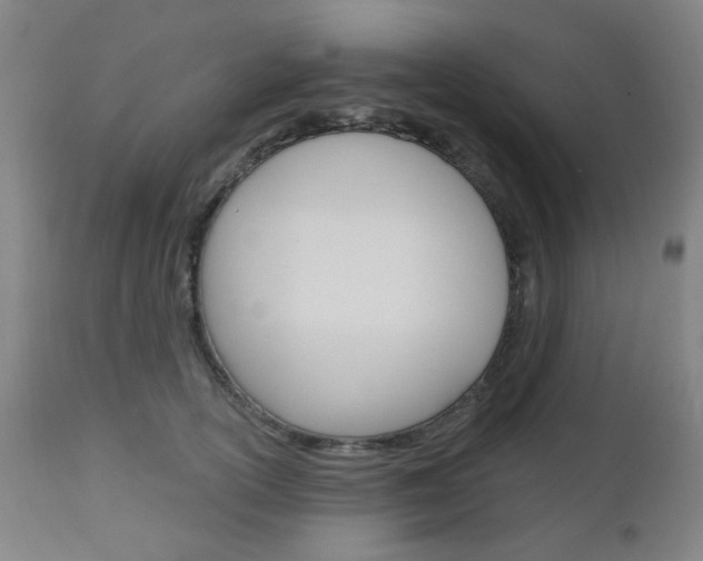 X0000111050754200906251119