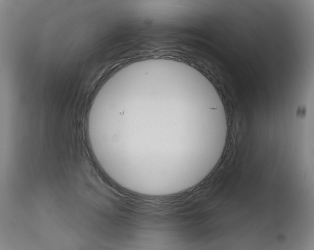 X0000111050756200906251119