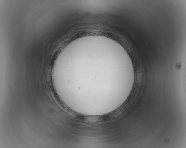 X0000111050757200906251119