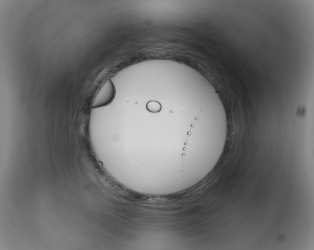 X0000111050758200906251119
