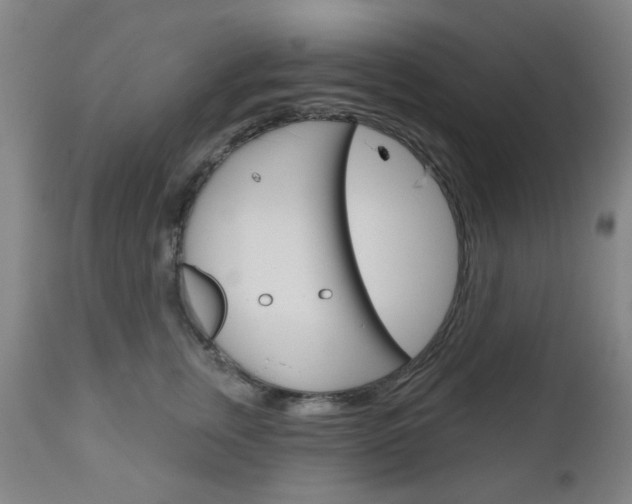 X0000111050759200906251120