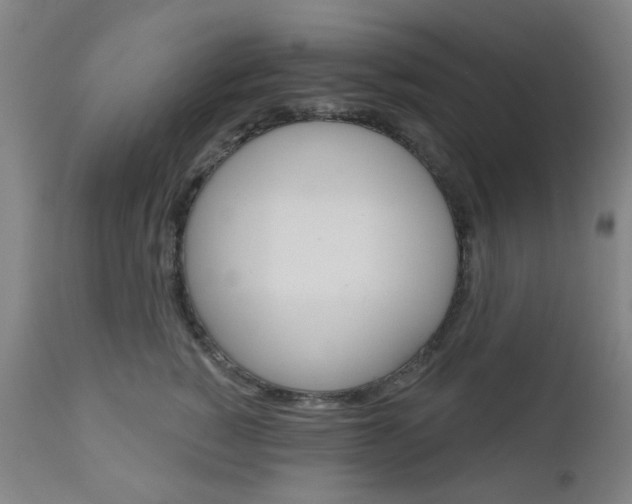 X0000111050760200906251120