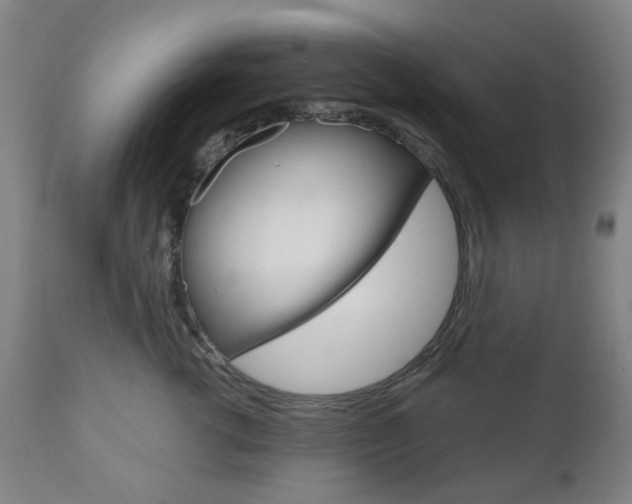 X0000111050762200906251120