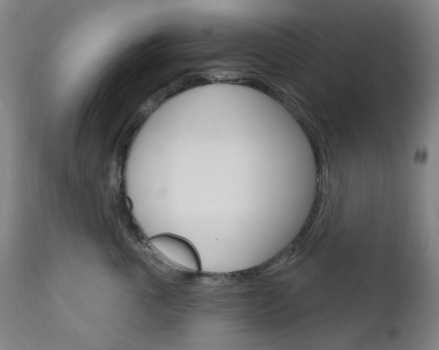 X0000111050763200906251120