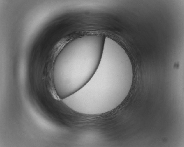 X0000111050764200906251120