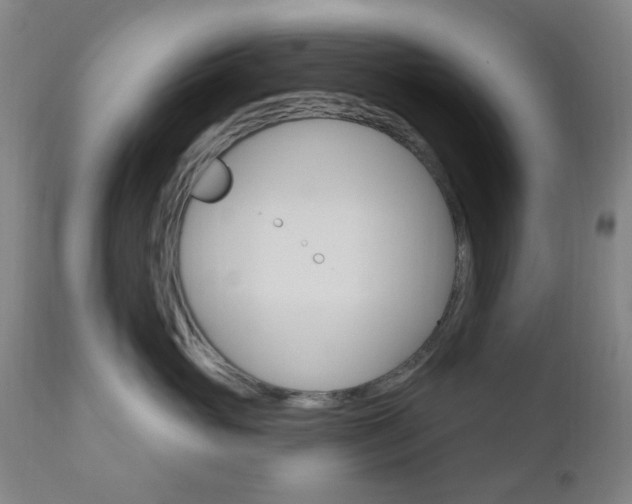 X0000111050765200906251120