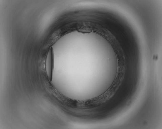 X0000111050766200906251120