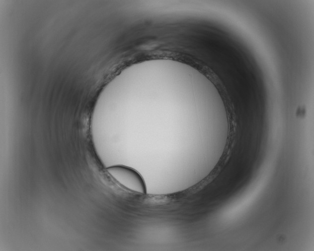 X0000111050767200906251120