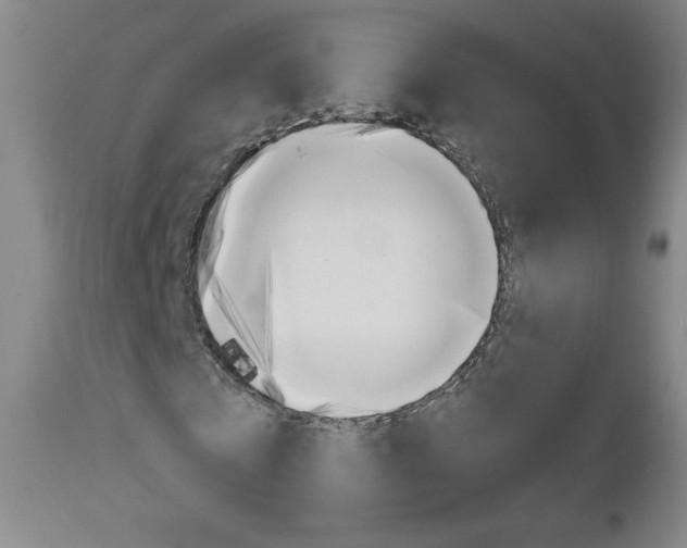 X0000111050769200906251119