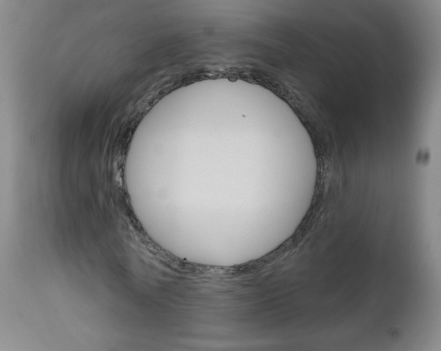 X0000111050770200906251119