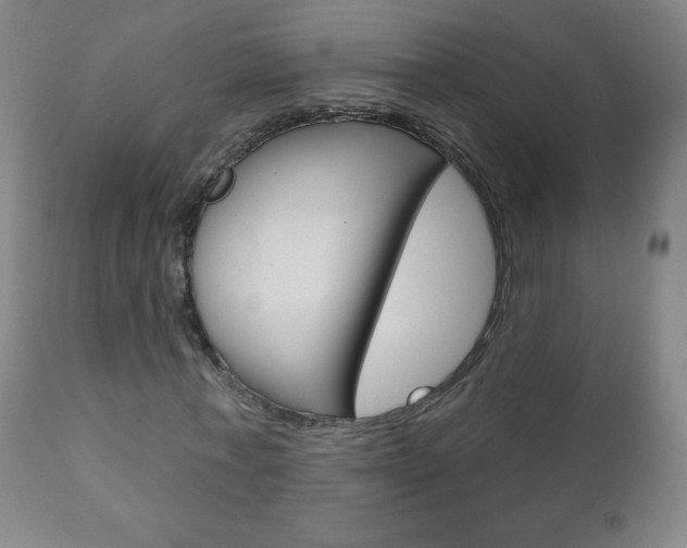 X0000111050771200906251119