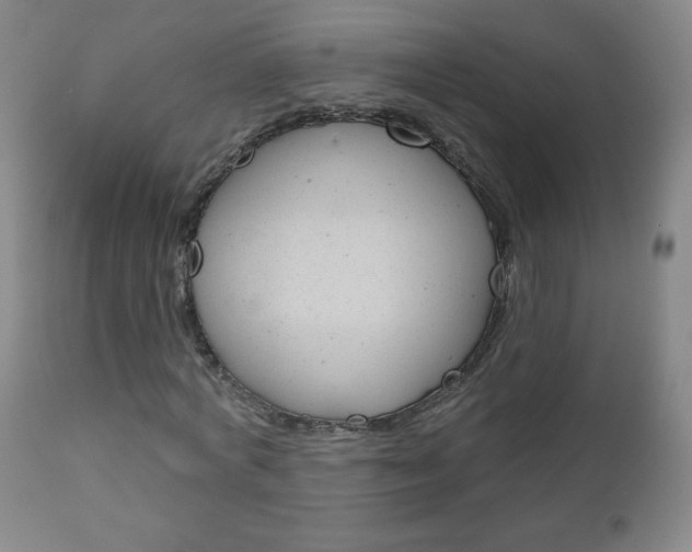 X0000111050772200906251119