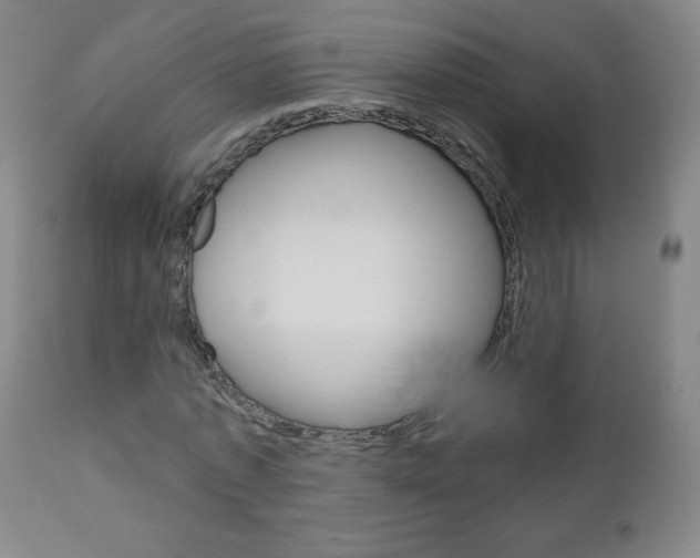X0000111050773200906251119