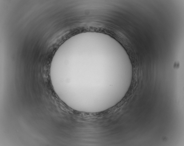 X0000111050774200906251119