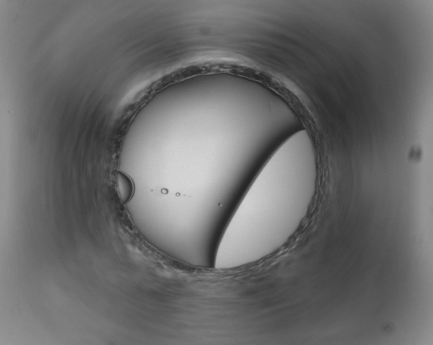 X0000111050775200906251119