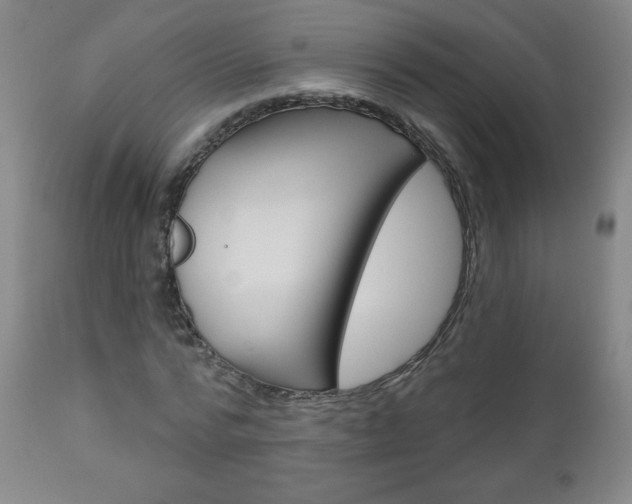 X0000111050776200906251119