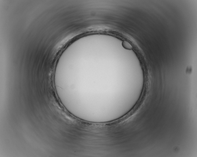 X0000111050778200906251119