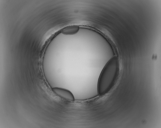 X0000111050781200906251119