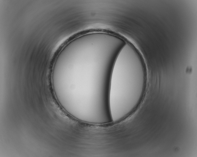 X0000111050783200906251119