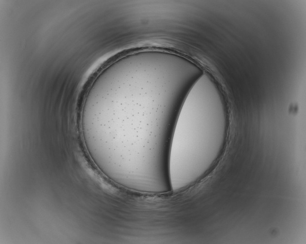 X0000111050784200906251119