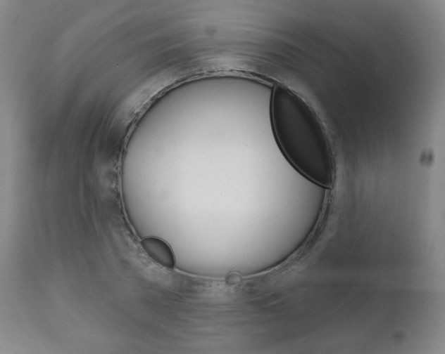 X0000111050785200906251119