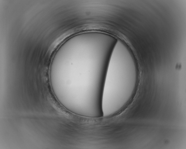 X0000111050786200906251119