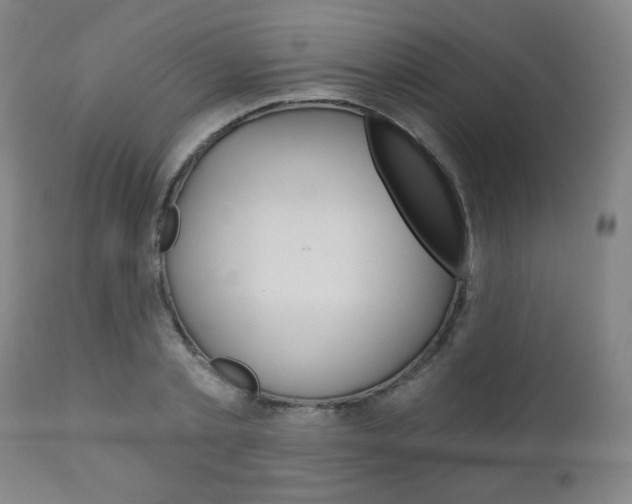 X0000111050789200906251119