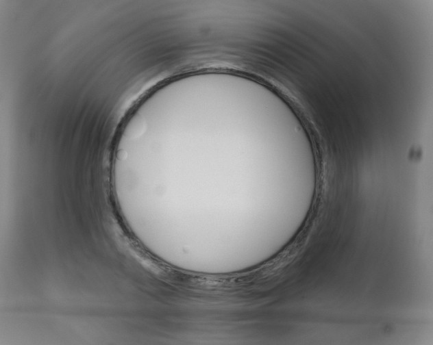 X0000111050790200906251119