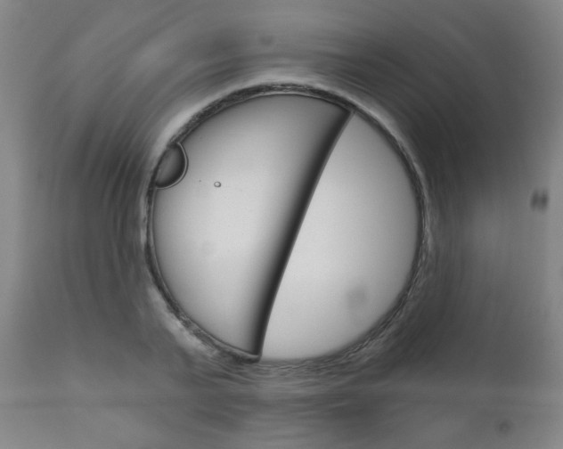 X0000111050791200906251119