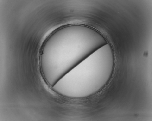 X0000111050792200906251119