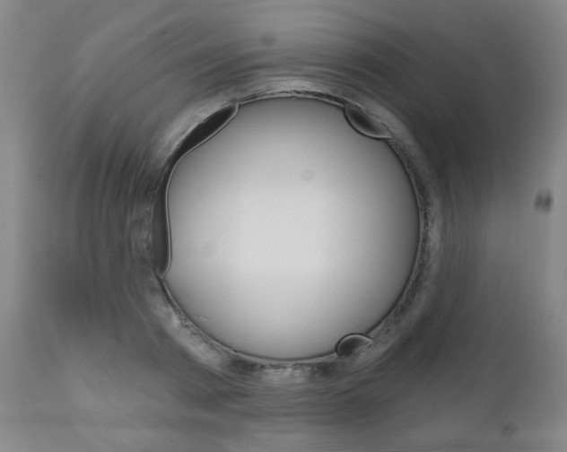 X0000111050793200906251119