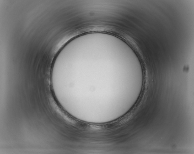 X0000111050794200906251119