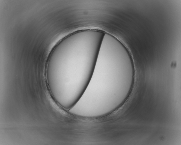 X0000111050797200906251119