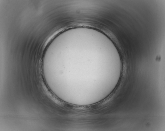 X0000111050798200906251119