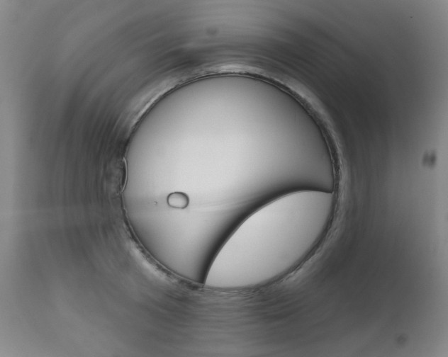 X0000111050801200906251119