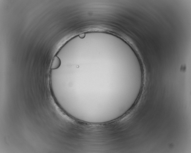X0000111050802200906251119