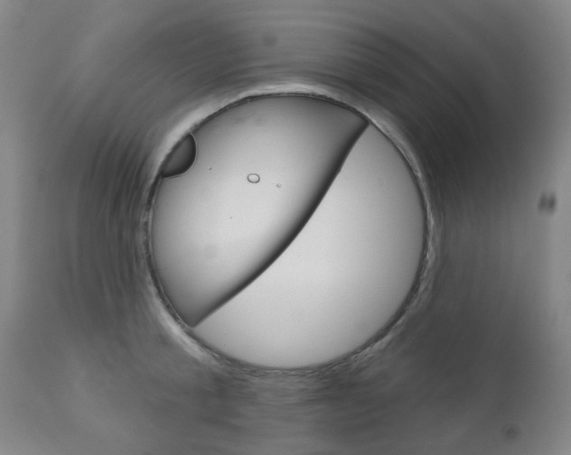 X0000111050805200906251118