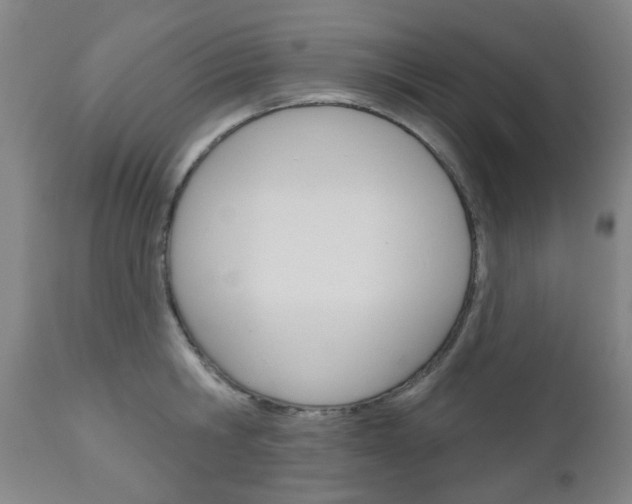 X0000111050806200906251118