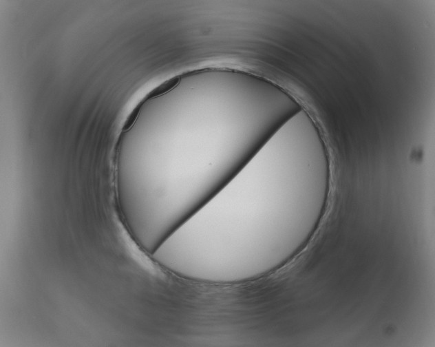 X0000111050808200906251118