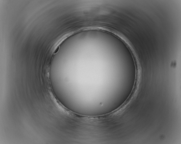 X0000111050809200906251118
