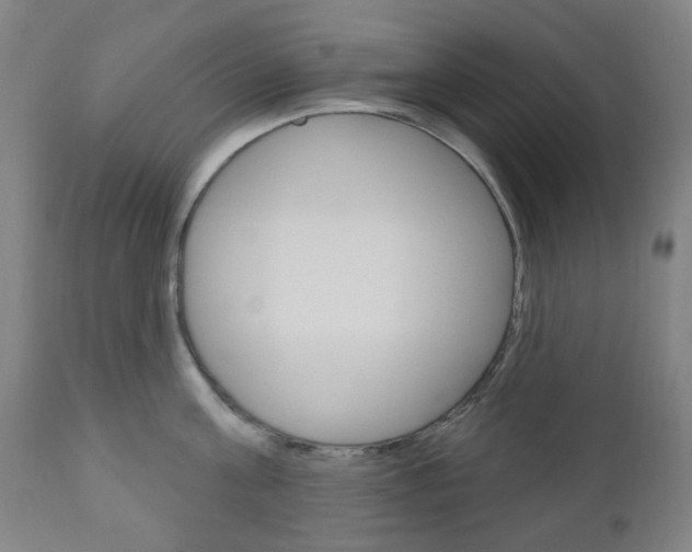 X0000111050811200906251118