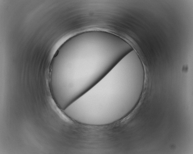 X0000111050812200906251118